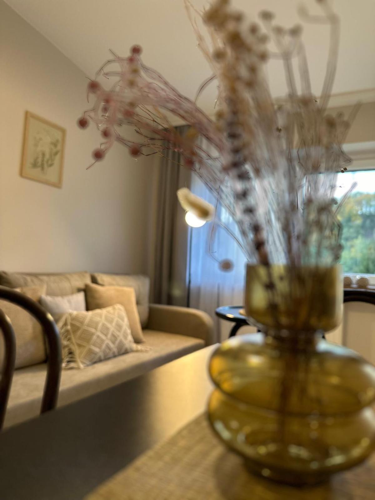 Apartamenty Lavenderia Z Widokiem Na Gore Parkowa, Blisko Centrum Kudowa-Zdrój Exteriér fotografie